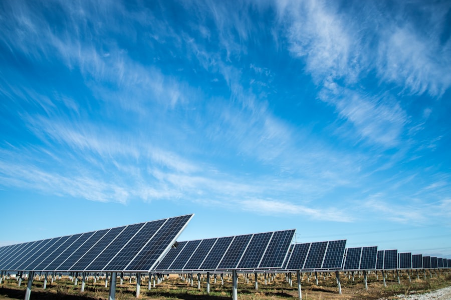 Ebor Energy - Solar Energy 5 Agricultural solar panel array